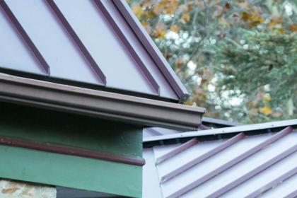 House roof with gutters